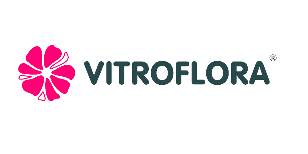 Vitroflora